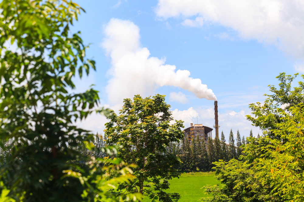 Décarbonation de l'industrie