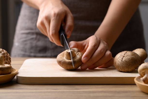 Shiitake, champignon