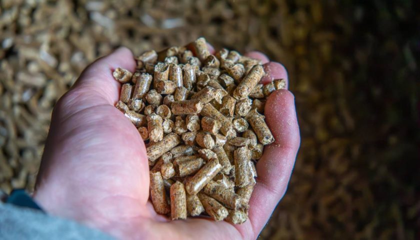 pellets de bois