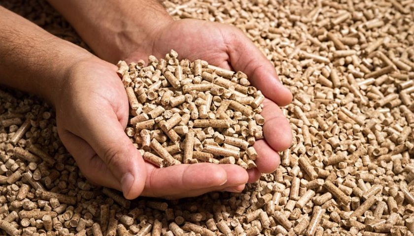 pellets de bois