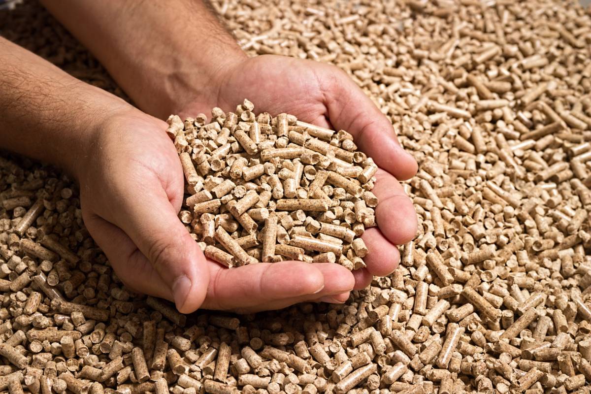 pellets de bois