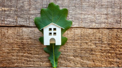 Quels critères influencent le prix d’une rénovation écologique ?