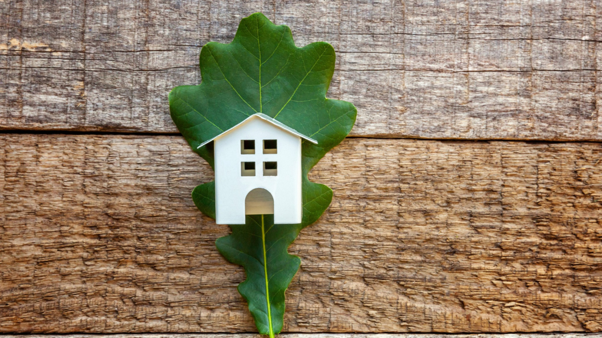 Quels critères influencent le prix d’une rénovation écologique ?