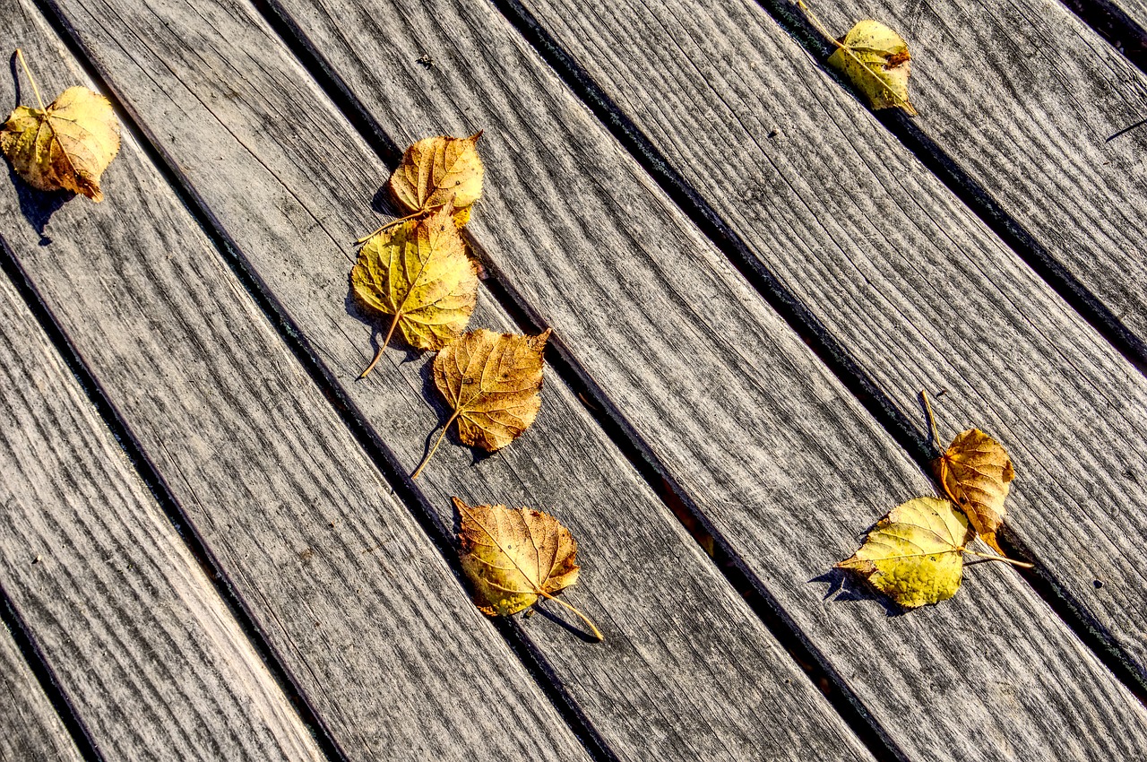 Nettoyer terrasse en bois