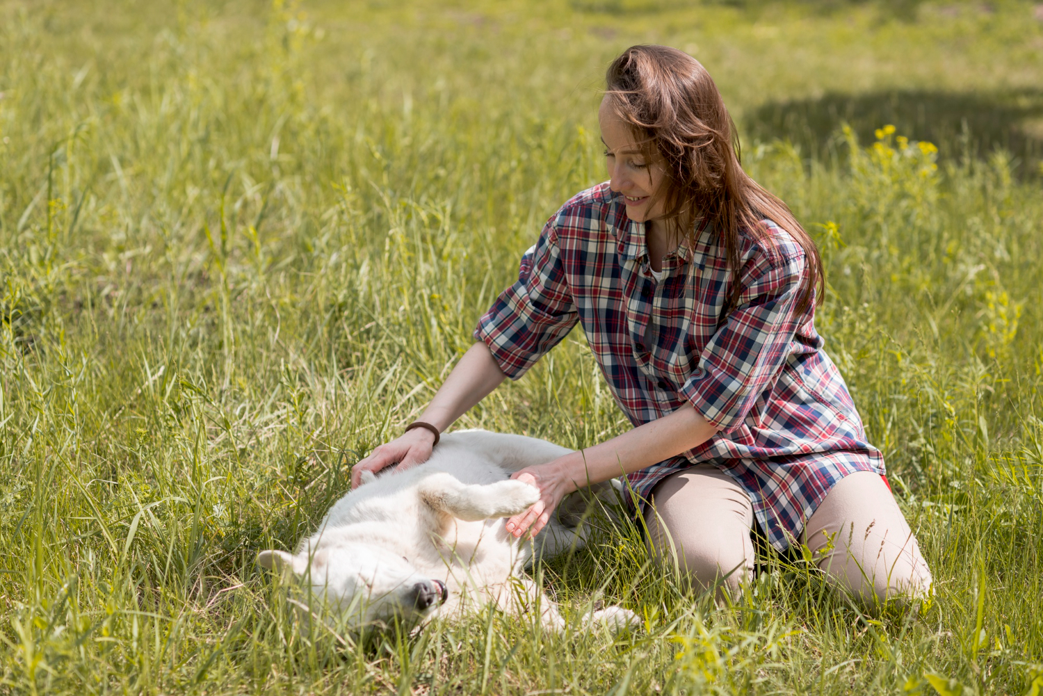 femme qui joue avec son chien