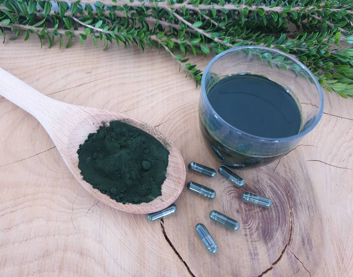 spiruline